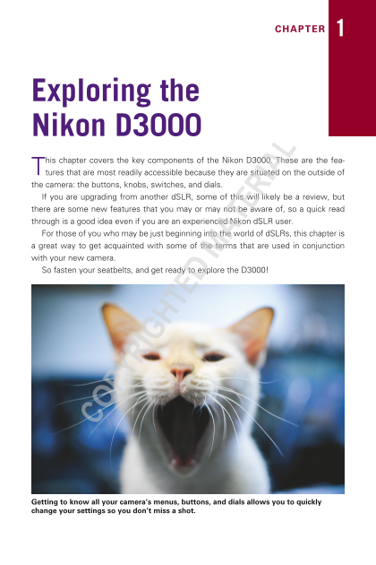 Nikon D3000 User's Guide and Manual - Page 1