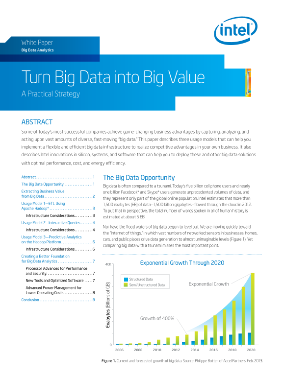 Intel White Paper: Transforming Big Data into Big Value - Page 1