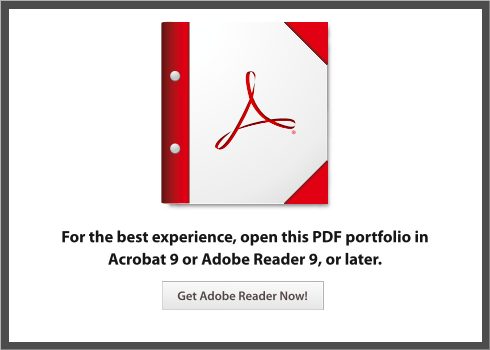 Dell Avamar 6.0 Documentation Portfolio for Windows Server and Applications Owner's Manual, User Guide - Page 1
