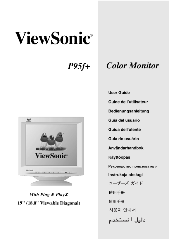 ViewSonic P95f+ Color Monitor User Manual - Page 1